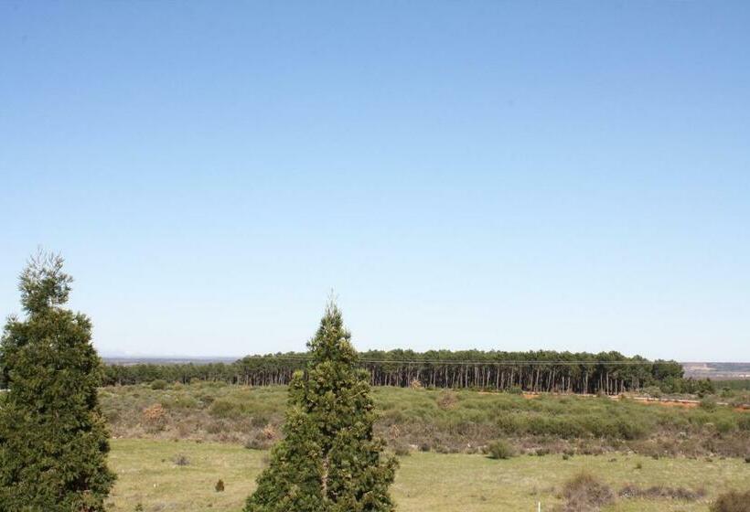 اتاق استاندارد, Monterrey