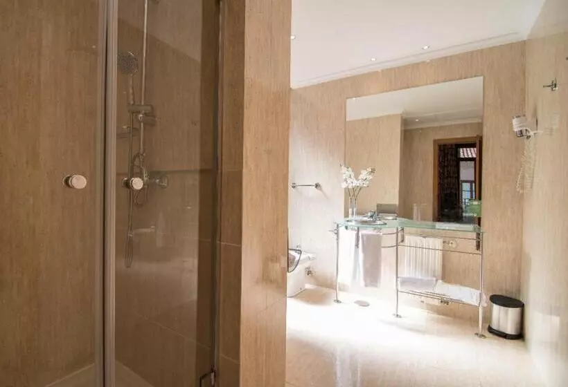 اتاق استاندارد با چشم‌انداز, Petit Palace Preciados