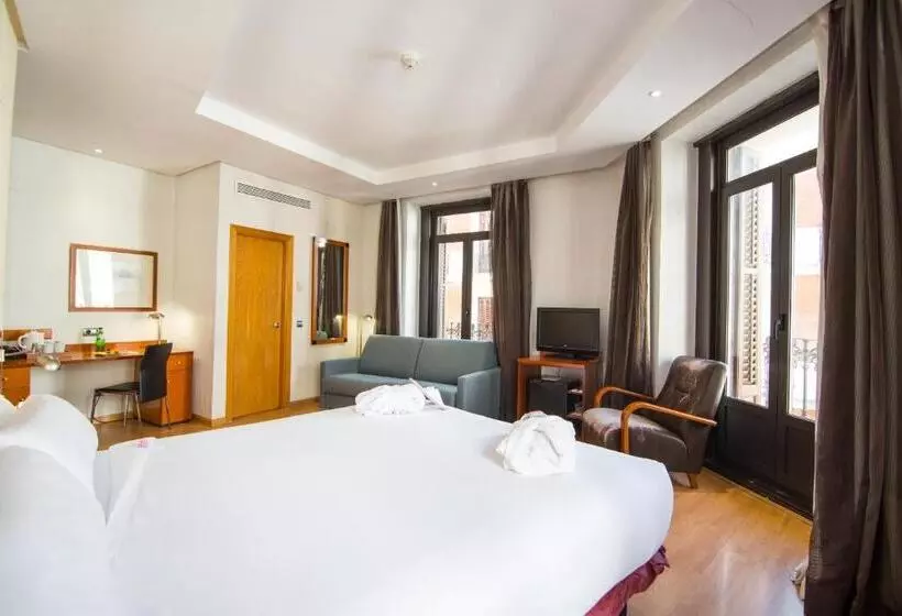 اتاق دلوکس با تخت کینگ و چشم‌انداز شهر, Petit Palace Preciados