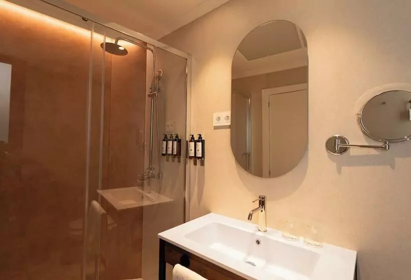 اتاق استاندارد یک نفره, Petit Palace Preciados