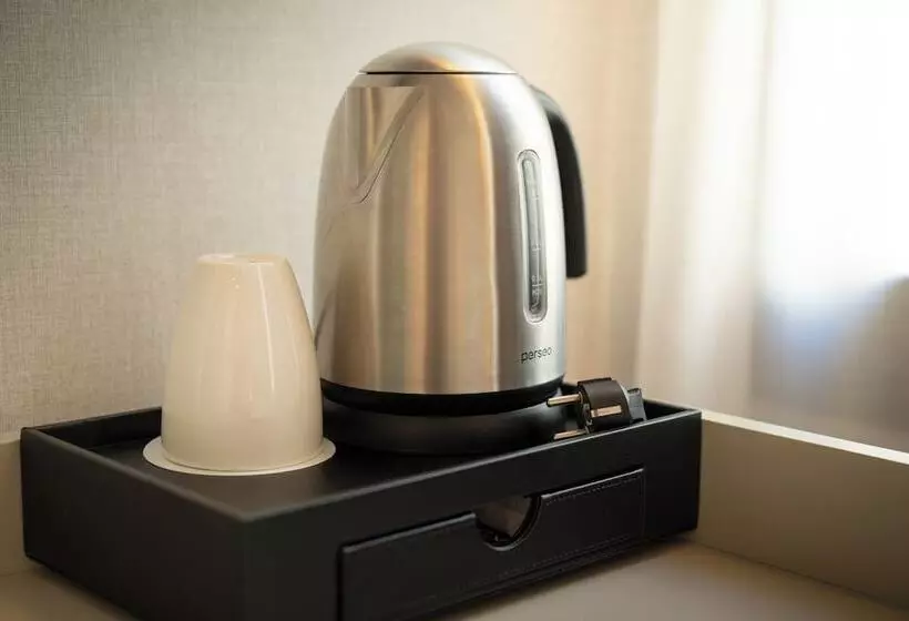 اتاق استاندارد یک نفره, Petit Palace Preciados