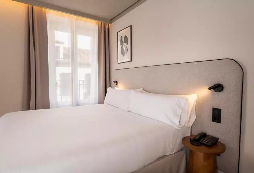 اتاق دلوکس با تخت کینگ و چشم‌انداز شهر, Petit Palace Preciados