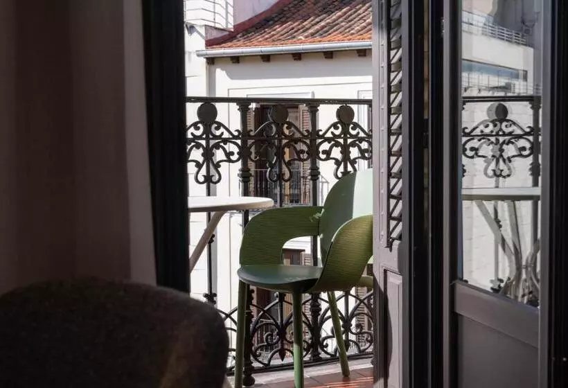 اتاق دلوکس با تخت کینگ و چشم‌انداز شهر, Petit Palace Preciados