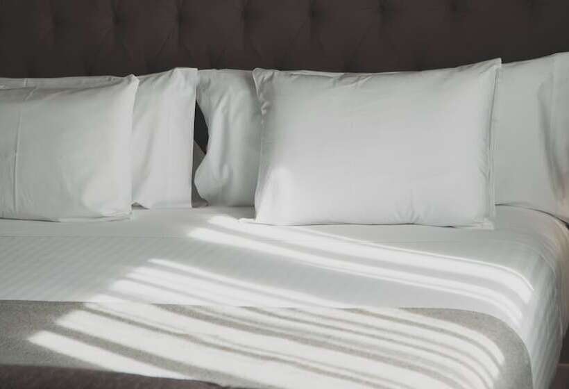 اتاق خانوادگی, Zenit Abeba