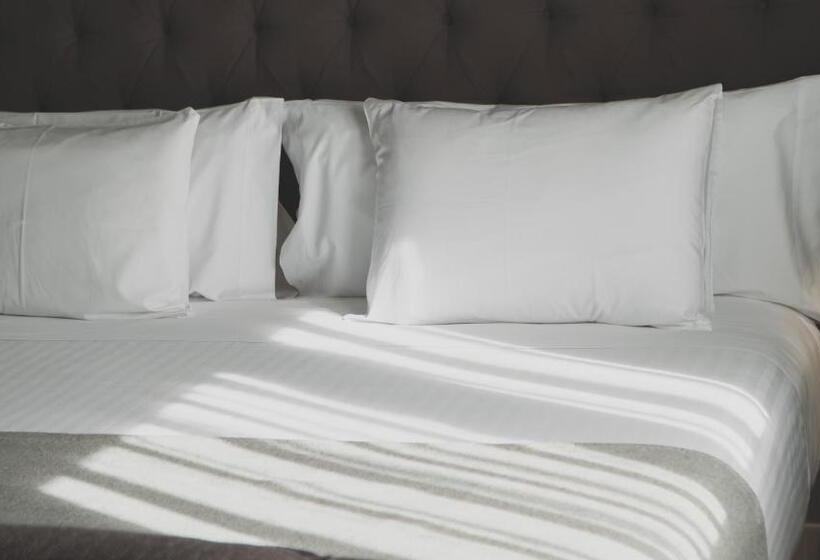 اتاق خانوادگی, Zenit Abeba