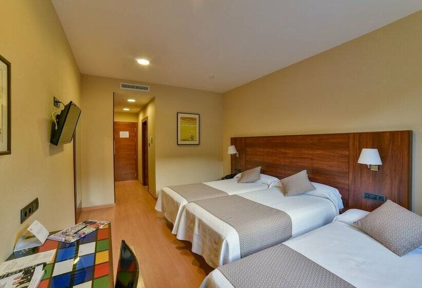 اتاق استاندارد سه نفره, Sercotel Riscal