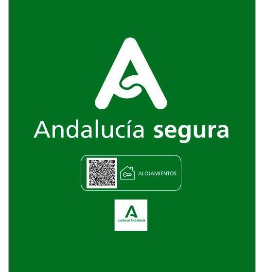 Номер Deluxe с Террасой, America Sevilla