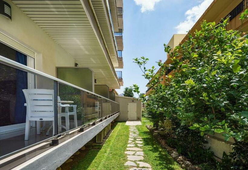 اتاق استاندارد یک نفره, Isabel