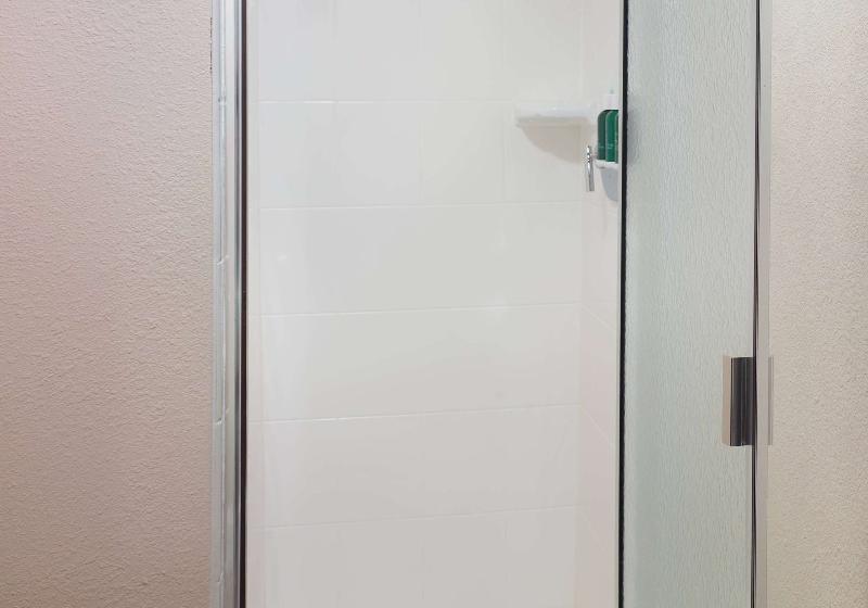 Номер Стандарт, Ms Amaragua