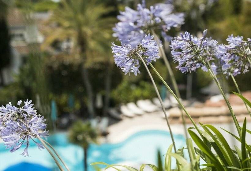 Люкс, Puente Romano Beach Resort