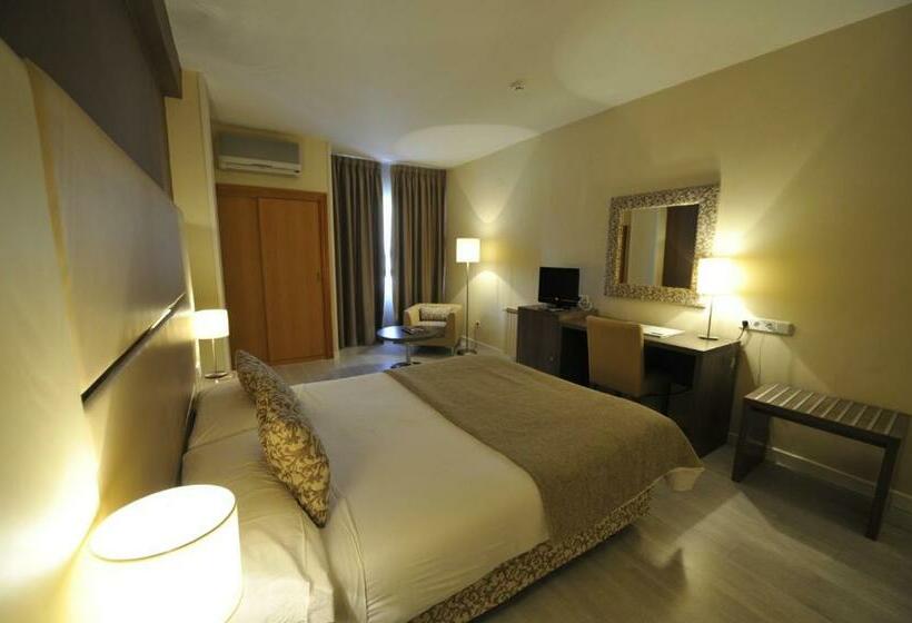 اتاق استاندارد, Puerta De Segovia