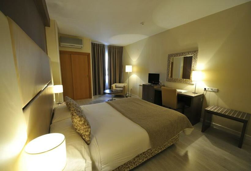 اتاق استاندارد, Puerta De Segovia