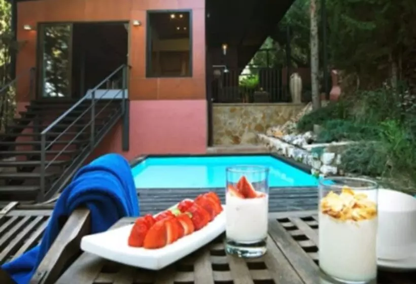 Suite mit Pool, Montsant