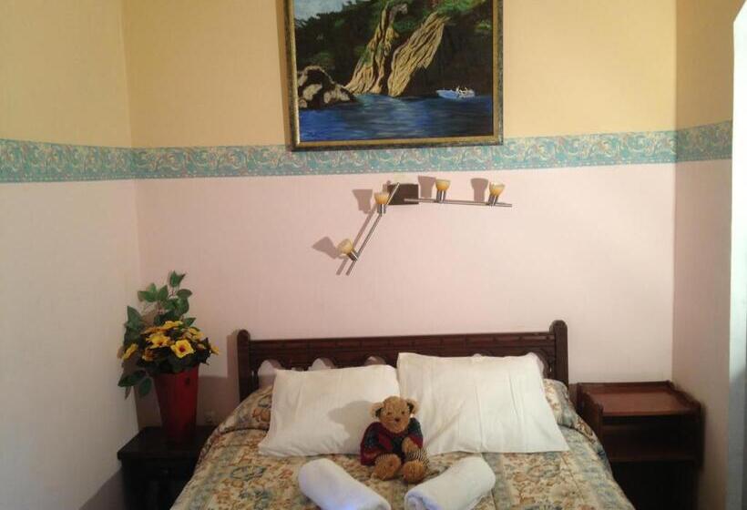 Номер Стандарт, Comodoro