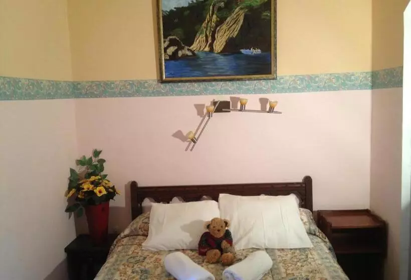 StandaardKamer, Comodoro