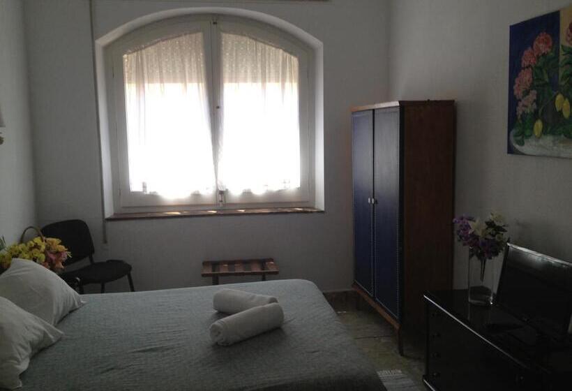 Номер Стандарт, Comodoro