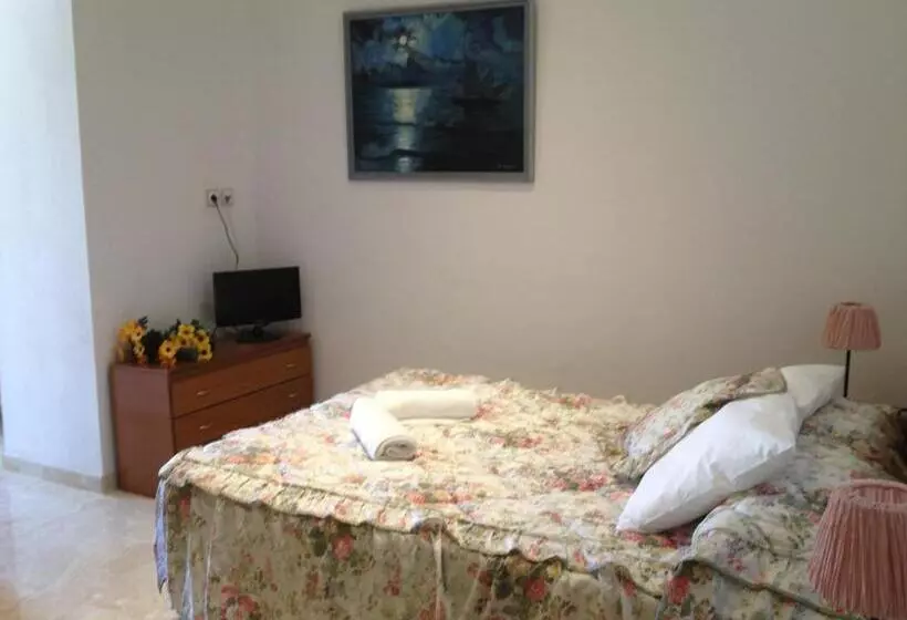 Standaardkamer met Gedeelde Badkamer, Comodoro