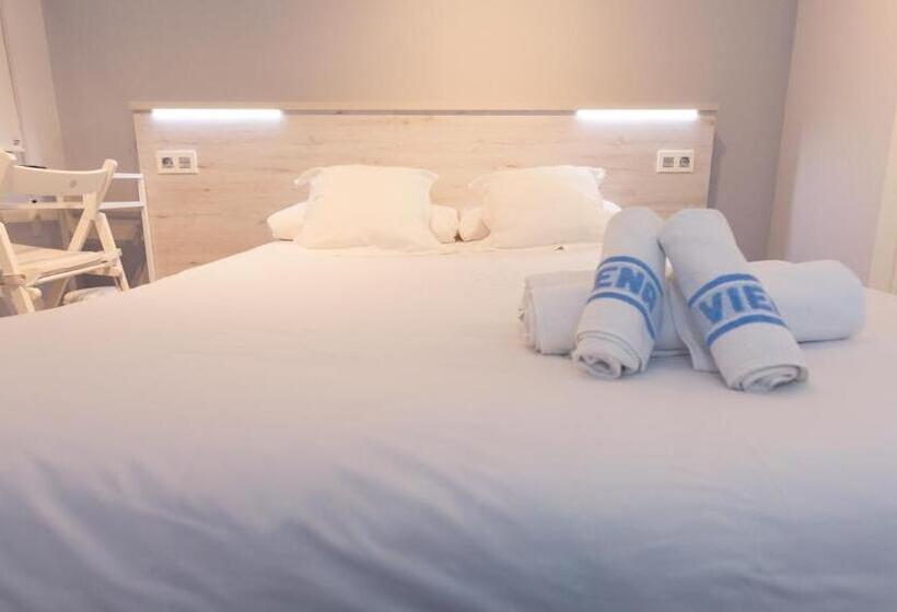 اتاق استاندارد با تخت دوبل, Hostal Viena