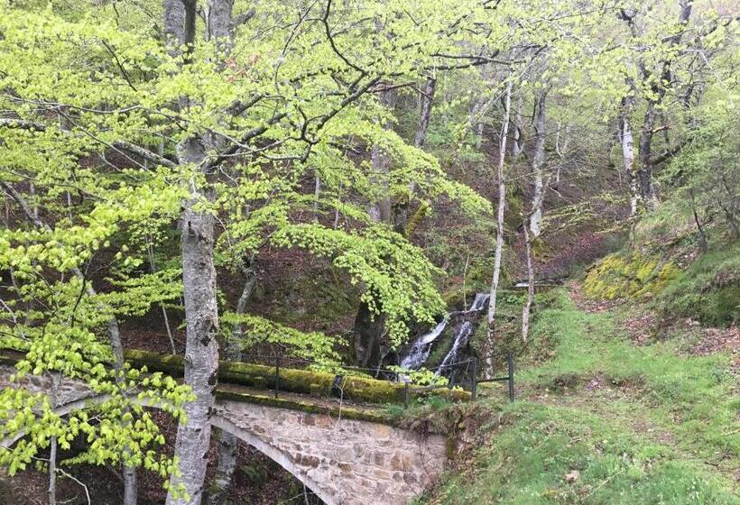 اتاق کلاسیک چهارنفره, Monasterio De Santa Maria De Valvanera
