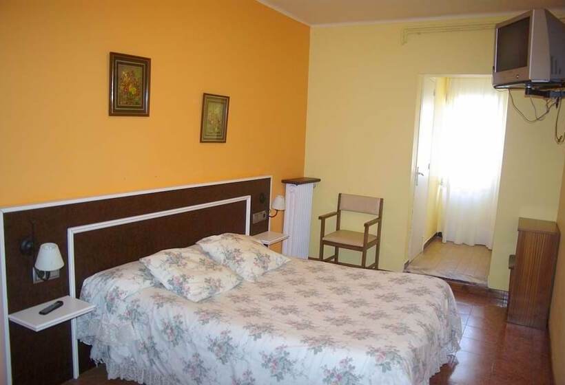 Номер Стандарт, Saiola