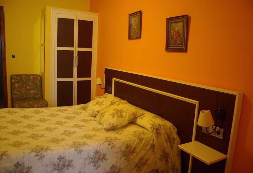 Номер Стандарт, Saiola