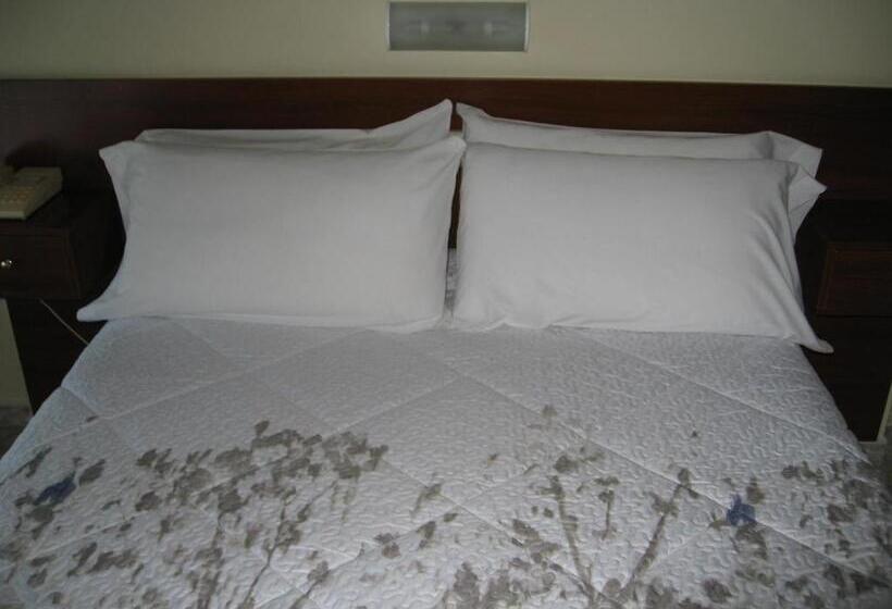 اتاق استاندارد, Hostal Roma