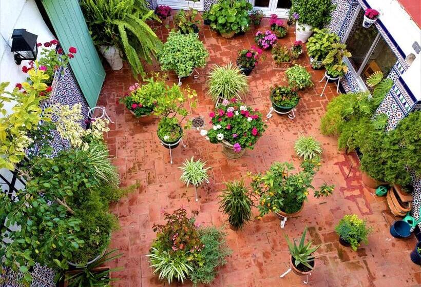 이코노이 4인룸, Hostal Enriqueta