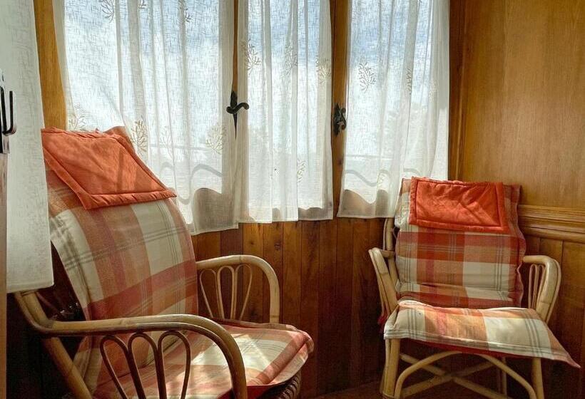 Номер Стандарт, Peruskenea