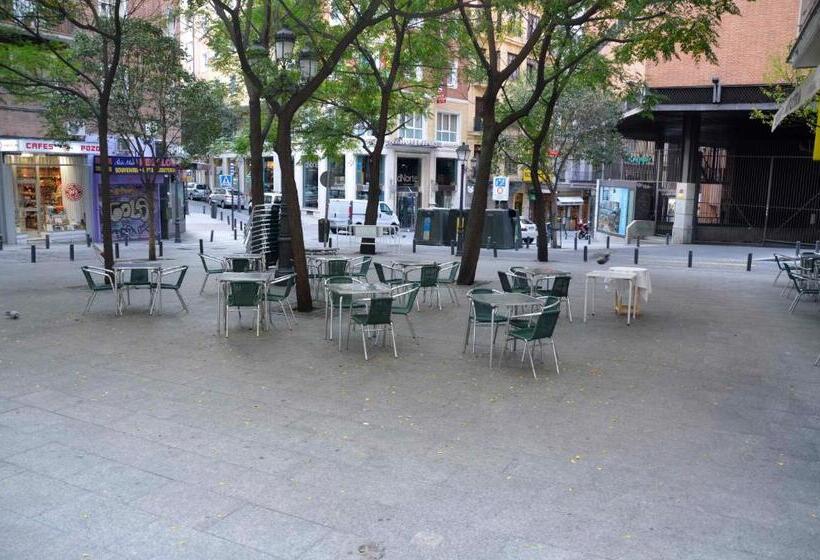 اتاق استاندارد, Madrid Motion Hostels