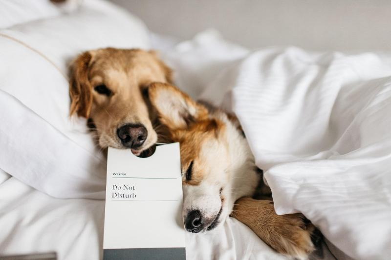 اتاق راحتی, Arcotel Nike Linz