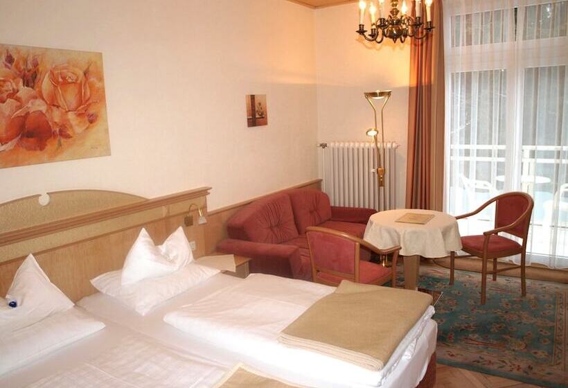 Номер Стандартный с Видом, Alpenblick