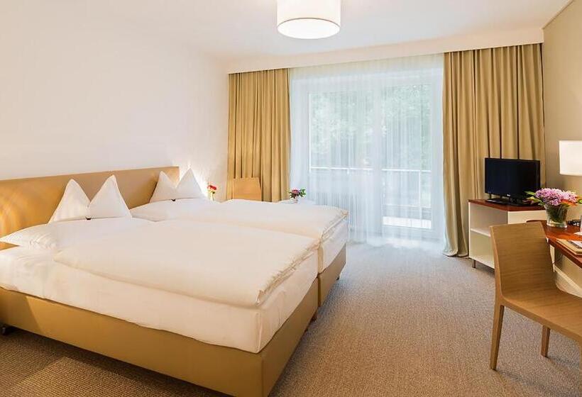 غرفة قياسية, At The Park