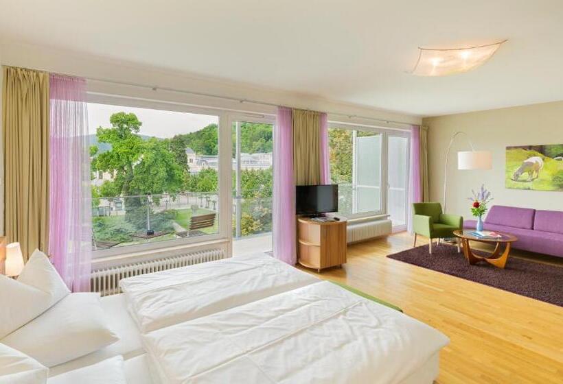 バルコニー付スイート, At The Park