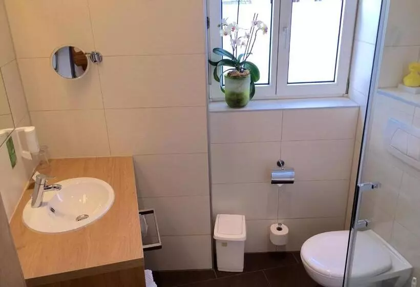 Pokój Standard Jednoosobowy, Babenbergerhof