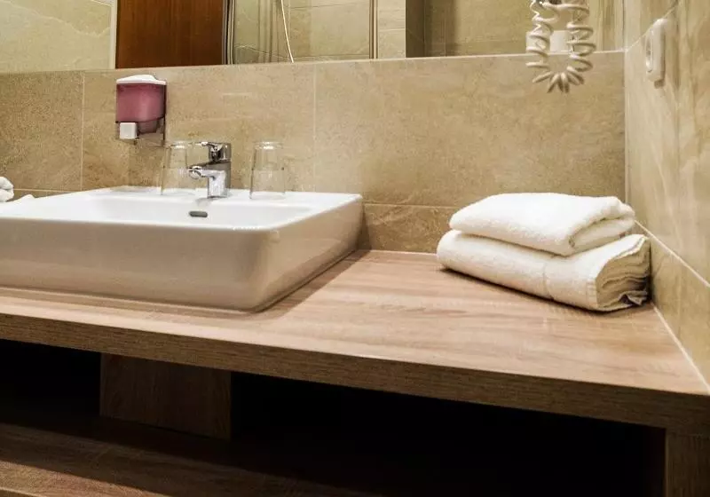اتاق استاندارد یک نفره, Theater Hotel Salzburg