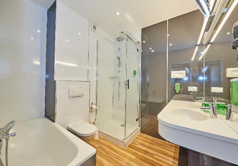 豪华房间, Zipser