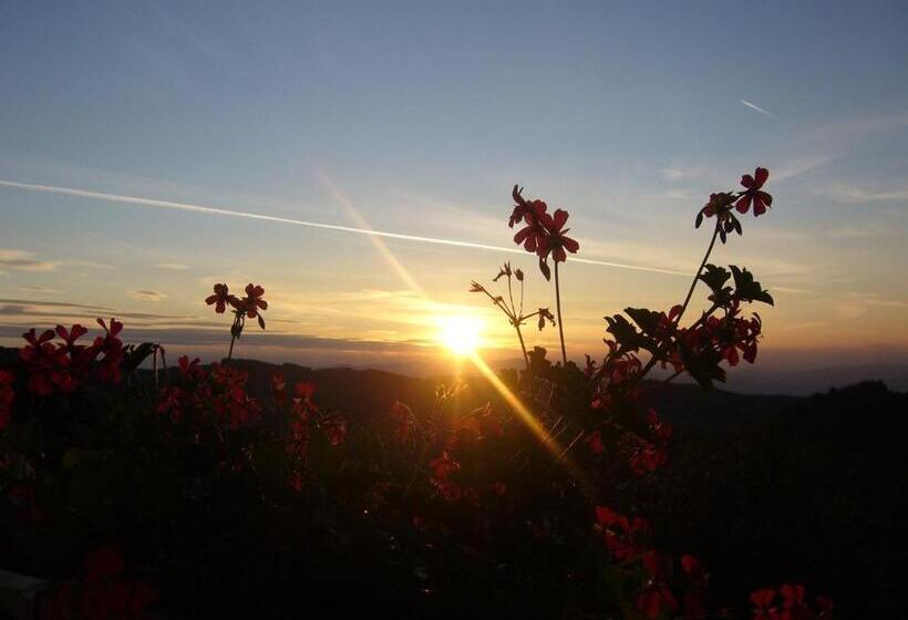 חדר סופריור, Biolandhaus Arche