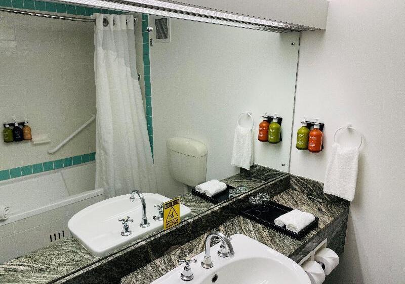 스탠다드 룸, Holiday Inn Parramatta, An Ihg