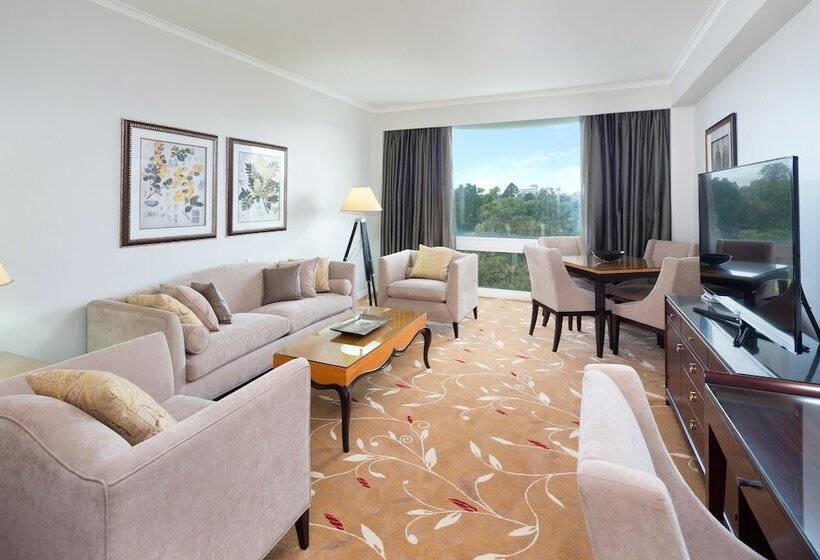 סוויטה דלוקס, Royal On The Park