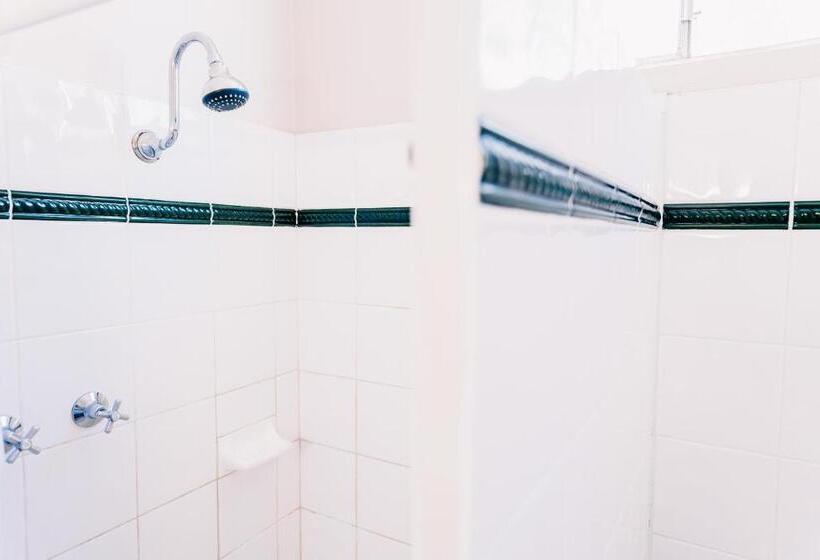 غرفة قياسية, Motel Poinsettia