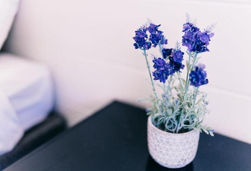 شقة غرفتين, Motel Poinsettia