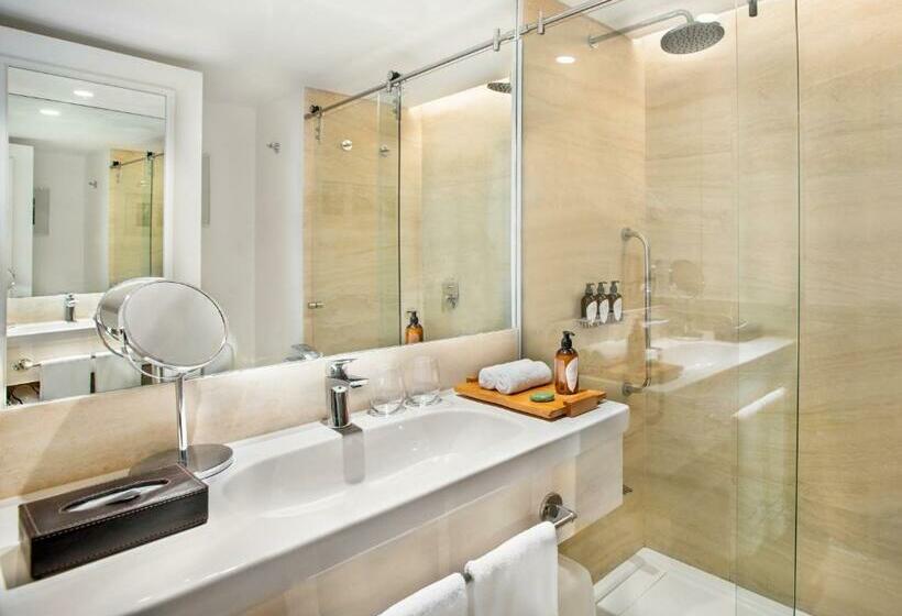 Номер Deluxe с Видом, Gran Melia Iguazu