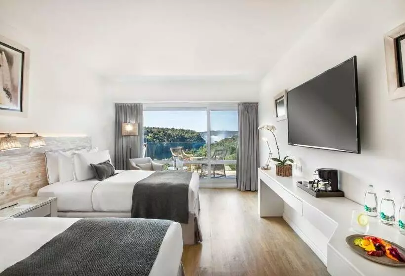 景色の見えるデラックスルーム, Gran Melia Iguazu