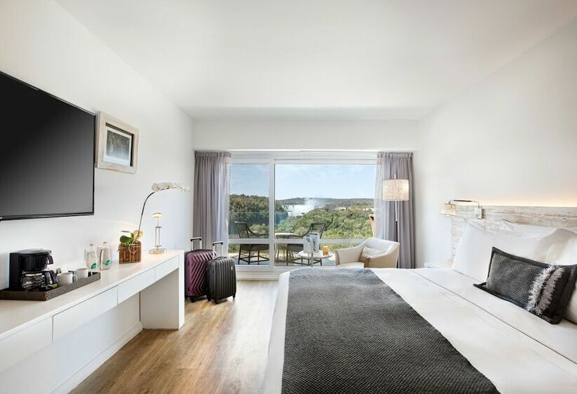 景色の見えるデラックスルーム, Gran Melia Iguazu