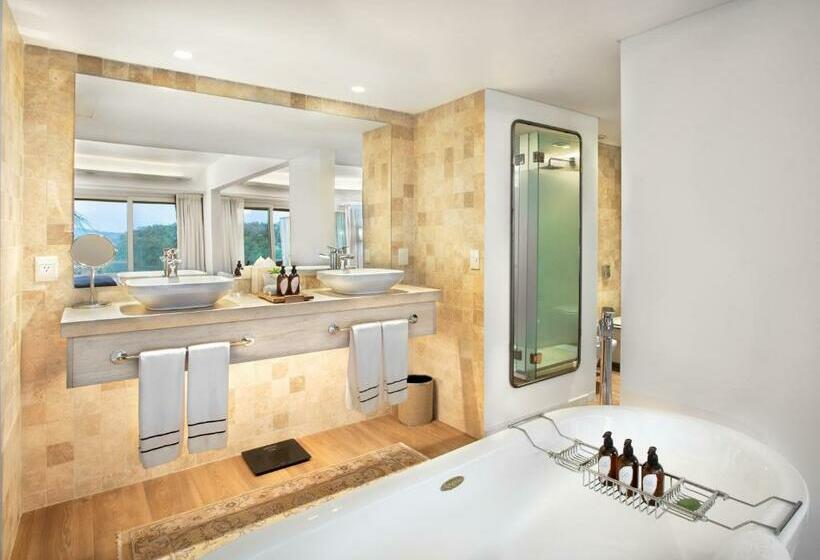 ビュー有りのデラックスジュニアスイート, Gran Melia Iguazu