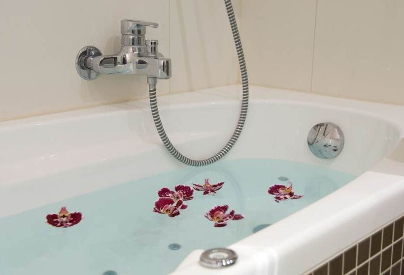 غرفة قياسية, Martin S Chateau Du Lac