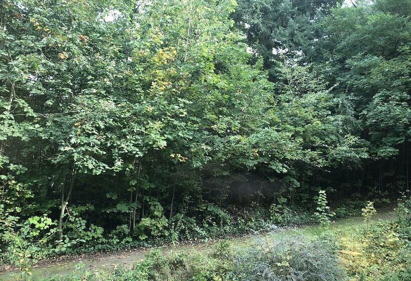 غرفة قياسية, Martin S Chateau Du Lac