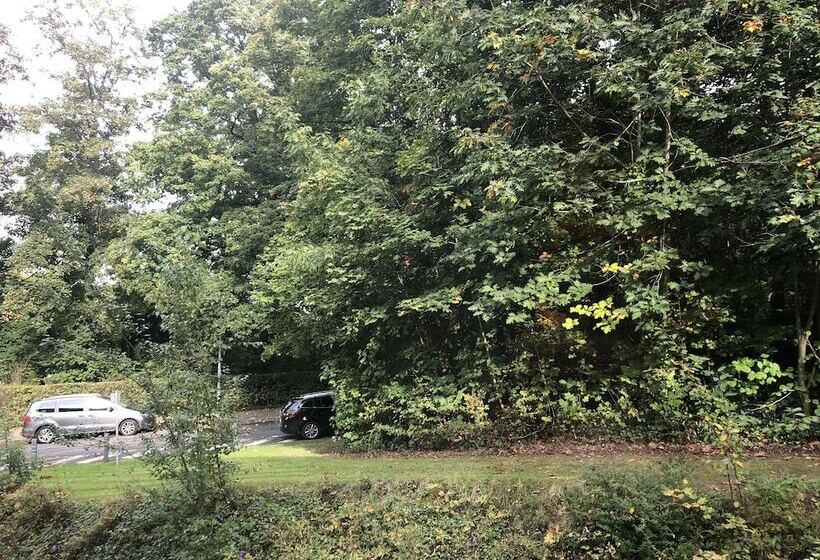 غرفة قياسية, Martin S Chateau Du Lac