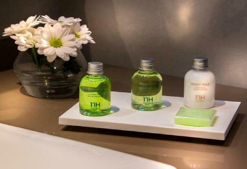 חדר סטנדרט, NH Andorra La Vella