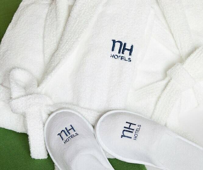 חדר סופריור עם נוף, NH Andorra La Vella